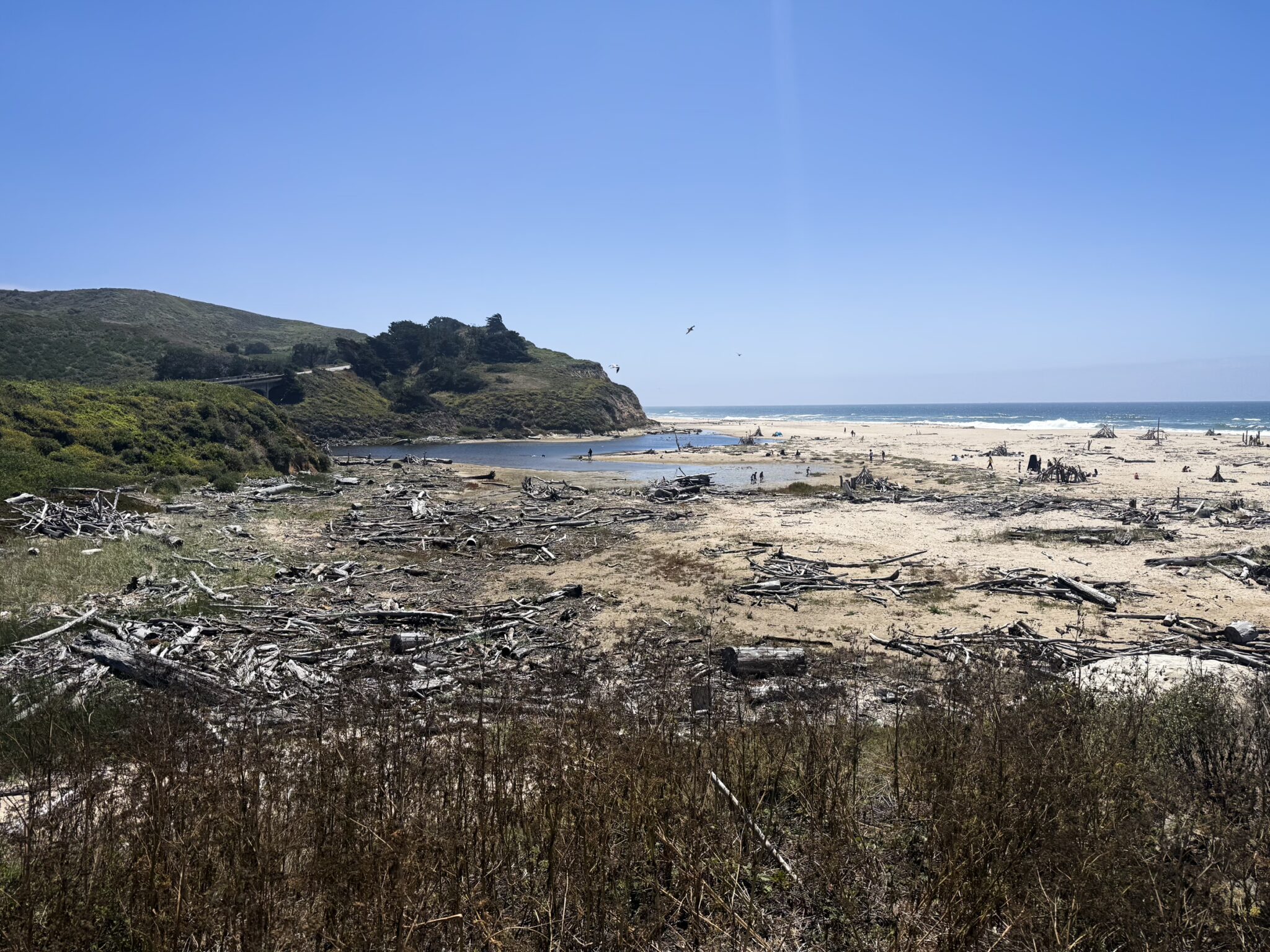 IMG_1941